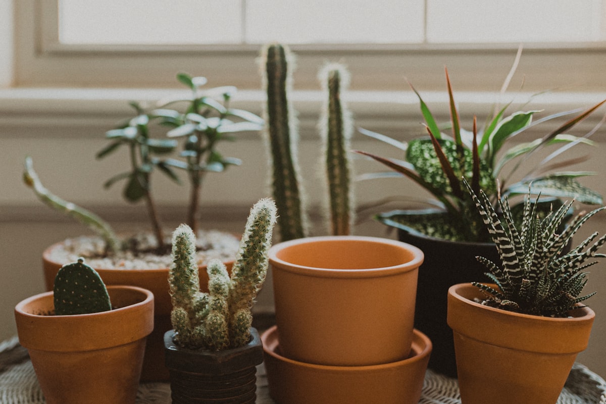 Studio de production virtuelle avec mur LED et équipe de tournage